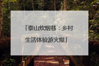 泰山炊烟巷：乡村生活体验游火爆